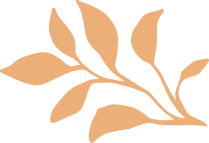 rectangle-blv1 rectangle-blv1